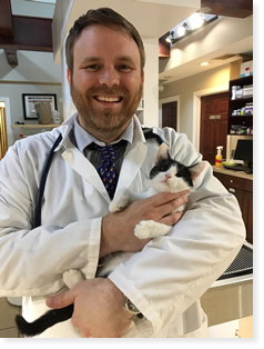 Dr. Aaron Perkins