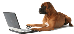 Welcome to Towne & Country Animal Hospital, 
located in Brighton, Michigan!